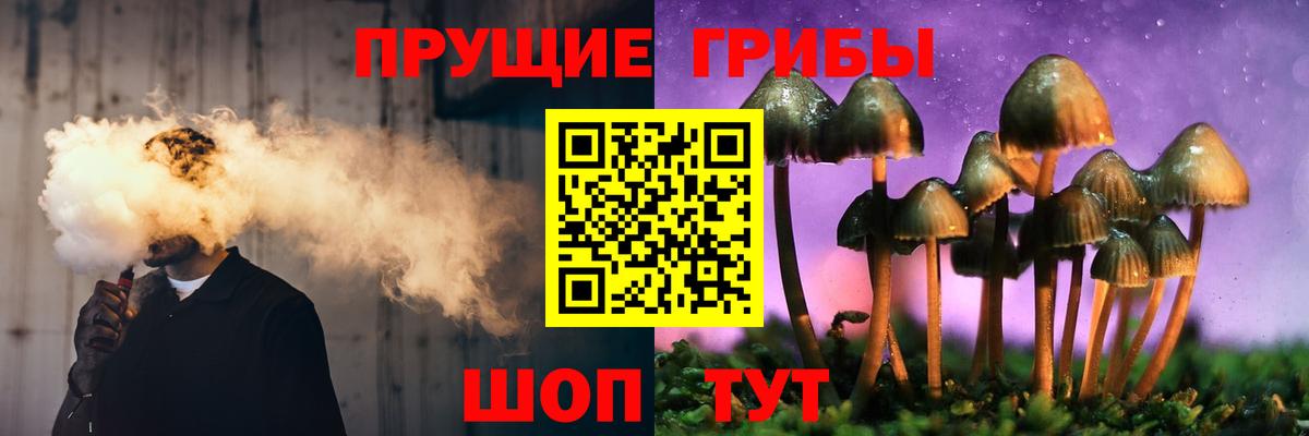 Валуйки  Галлюциногенные грибы мухоморы  Вход с VPN  Псилоцибиновые грибы GOLDEN TEACHER 